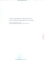 Báo cáo tài chính năm 2015 (đã kiểm toán) - CTCP Xuất nhập khẩu Than - Vinacomin