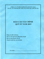 Báo cáo tài chính quý 4 năm 2015 - Công ty Cổ phần Khoáng sản Bắc Kạn