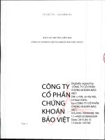 Báo cáo thường niên năm 2014 - Công ty Cổ phần Chứng khoán Bảo Việt