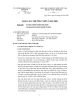 Báo cáo thường niên năm 2008 - Công ty cổ phần Khoáng sản Bình Định