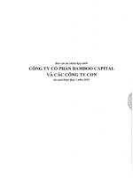 Báo cáo tài chính hợp nhất quý 1 năm 2016 - Công ty cổ phần Bamboo Capital