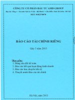 Báo cáo tài chính công ty mẹ quý 3 năm 2015 - Công ty cổ phần Đầu tư AMD Group