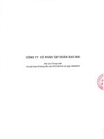 Báo cáo tài chính hợp nhất quý 3 năm 2015 - Công ty Cổ phần Tập đoàn Sao Mai