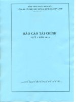 Báo cáo tài chính công ty mẹ quý 2 năm 2013 - Công ty Cổ phần Xây dựng và Kinh doanh Vật tư