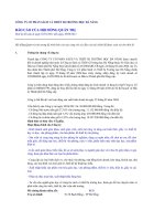 Báo cáo tài chính quý 2 năm 2011 (đã soát xét) - Công ty Cổ phần Sách và Thiết bị trường học Đà Nẵng