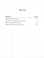 Báo cáo tài chính hợp nhất quý 1 năm 2014 - Công ty Cổ phần Nhựa Bình Minh