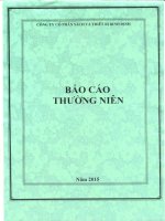 Báo cáo thường niên năm 2015 - Công ty Cổ phần Sách và Thiết bị Bình Định