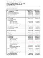 Báo cáo tài chính hợp nhất quý 2 năm 2009 - Công ty Cổ phần Chương Dương