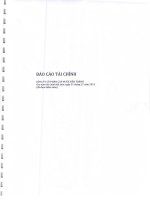 Báo cáo tài chính năm 2013 (đã kiểm toán) - Công ty Cổ phần Cấp nước Bến Thành