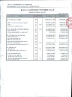 Báo cáo tài chính hợp nhất quý 2 năm 2012 - Công ty Cổ phần Đầu tư Alphanam