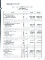 Báo cáo tài chính hợp nhất quý 4 năm 2013 - Công ty Cổ phần Nhựa Bình Minh