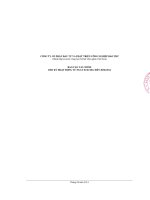 Báo cáo tài chính quý 2 năm 2014 - Công ty cổ phần Đầu tư và Phát triển Công nghiệp Bảo Thư