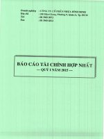 Báo cáo tài chính hợp nhất quý 1 năm 2015 - Công ty Cổ phần Nhựa Bình Minh