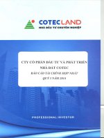 Báo cáo tài chính hợp nhất quý 3 năm 2014 - Công ty Cổ phần Đầu tư và Phát triển Nhà đất COTEC