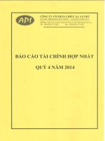 Báo cáo tài chính hợp nhất quý 4 năm 2014 - Công ty Cổ phần Chiếu xạ An Phú