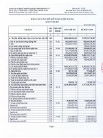 Báo cáo tài chính quý 4 năm 2010 - Công ty Cổ phần Chứng khoán Nông nghiệp và Phát triển Nông thôn