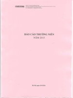 Báo cáo thường niên năm 2015 - Công ty cổ phần CMISTONE Việt Nam