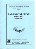 Báo cáo tài chính hợp nhất quý 4 năm 2012 - Công ty Cổ phần Xây dựng 47