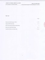 Báo cáo tài chính công ty mẹ quý 4 năm 2012 - Công ty Cổ phần Chiếu xạ An Phú