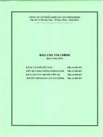 Báo cáo tài chính quý 4 năm 2014 - Công ty cổ phần Khoáng sản Bình Định