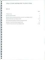 Báo cáo tài chính hợp nhất quý 2 năm 2013 (đã soát xét) - Công ty Cổ phần Xuất nhập khẩu Thủy sản An Giang