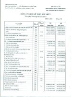 Báo cáo tài chính hợp nhất quý 2 năm 2013 - Công ty Cổ phần Đầu tư Phát triển Công nghiệp - Thương mại Củ Chi