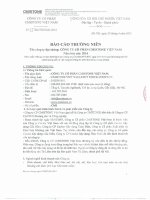 Báo cáo thường niên năm 2014 - Công ty cổ phần CMISTONE Việt Nam