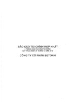 Báo cáo tài chính quý 2 năm 2010 (đã soát xét) - Công ty Cổ phần Beton 6