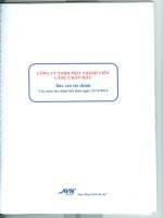 Báo cáo tài chính năm 2014 (đã kiểm toán) - CTCP Cảng Chân Mây