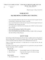 Nghị quyết Đại hội cổ đông bất thường ngày 06-01-2011 - Công ty Cổ phần Cà phê An Giang