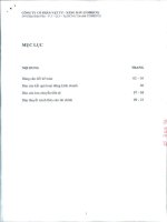 Báo cáo tài chính quý 2 năm 2013 - Công ty Cổ phần Vật tư - Xăng dầu