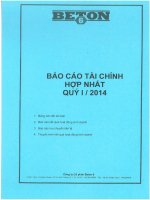Báo cáo tài chính hợp nhất quý 1 năm 2014 - Công ty Cổ phần Beton 6