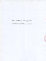 Báo cáo tài chính công ty mẹ quý 2 năm 2015 (đã soát xét) - Công ty Cổ phần Chiếu xạ An Phú