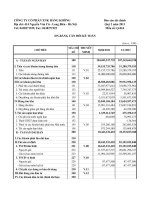 Báo cáo tài chính quý 2 năm 2011 - Công ty Cổ phần Xuất nhập khẩu Hàng không