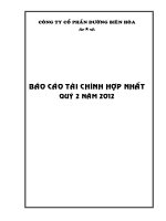 Báo cáo tài chính hợp nhất quý 2 năm 2012 - Công ty Cổ phần Đường Biên Hoà