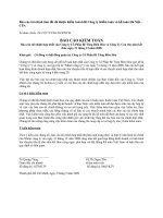 Báo cáo tài chính năm 2008 (đã kiểm toán) - Công ty Cổ phần Bê tông Biên Hòa