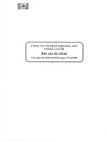 Báo cáo tài chính năm 2009 (đã kiểm toán) - Công ty Cổ phần Khoáng sản Vinas A Lưới