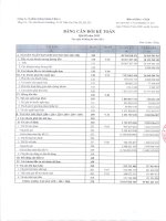 Báo cáo tài chính quý 2 năm 2013 - Công ty Cổ phần Chứng khoán ASC