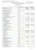 Báo cáo tài chính quý 2 năm 2013 - CTCP Dược phẩm Agimexpharm