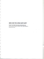 Báo cáo tài chính hợp nhất quý 2 năm 2014 (đã soát xét) - Công ty Cổ phần Tập đoàn Công nghệ CMC