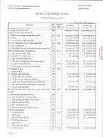 Báo cáo tài chính quý 2 năm 2014 - Công ty Cổ phần Chứng khoán Bảo Việt