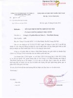 Báo cáo tài chính công ty mẹ quý 2 năm 2014 - Công ty Cổ phần Đầu tư Châu Á - Thái Bình Dương