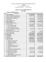 Báo cáo tài chính quý 4 năm 2009 - Công ty Cổ phần Sách và Thiết bị trường học Đà Nẵng