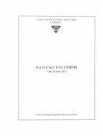 Báo cáo tài chính quý 2 năm 2012 - Công ty Cổ phần Chế biến và Xuất nhập khẩu Thuỷ sản Cà Mau