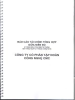 Báo cáo tài chính công ty mẹ quý 2 năm 2015 (đã soát xét) - Công ty Cổ phần Tập đoàn Công nghệ CMC