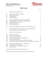 Báo cáo thường niên năm 2012 - Công ty Cổ phần Gò Đàng