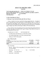 Báo cáo thường niên năm 2007 - Công ty Cổ phần Cát Lợi