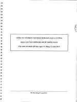 Báo cáo tài chính năm 2014 (đã kiểm toán) - CTCP Tập đoàn Khoáng sản Á Cường