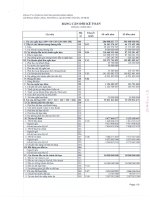 Báo cáo tài chính quý 1 năm 2013 - Công ty Cổ phần Chứng khoán Bảo Minh