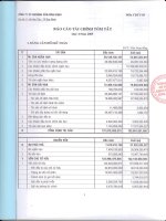 Báo cáo tài chính quý 4 năm 2009 - Công ty cổ phần Khoáng sản Bình Định